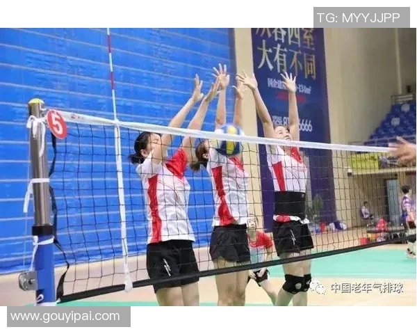 上海排球队的耐力揭秘与训练之道全解析